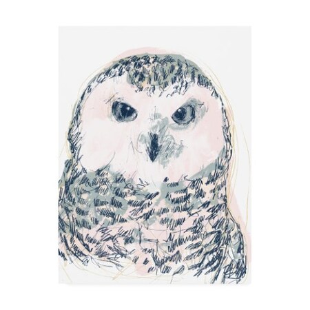 June Erica Vess 'Funky Owl Portrait IV' Canvas Art,18x24